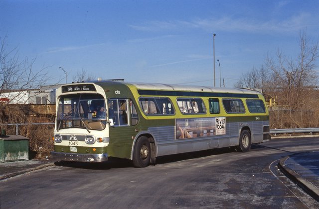 Bus 1000-newlook
